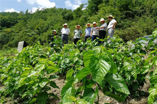 寶業(yè)（集團）公司參加中原鎮(zhèn)麻廟村召開“抓產(chǎn)業(yè)促脫貧”暨蠶桑產(chǎn)業(yè)技術(shù)培訓(xùn)會議